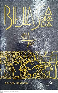 Livro Bíblia Sagrada - Edição Pastoral Autor Vários (1990) [seminovo]