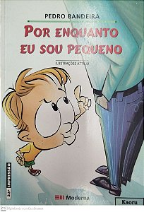 Livro por Enquanto Eu Sou Pequeno Autor Bandeira, Pedro (2006) [usado]
