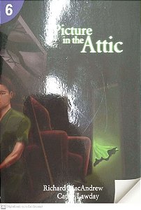 Livro The Picture In The Attic Autor Macandrew, Richard [seminovo]
