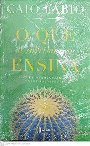 Livro o que o Sofrimento Ensina Autor Fábio, Caio [novo]