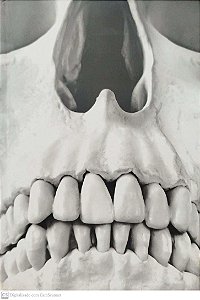 Livro Arquivos Serial Killers: Louco ou Cruel?/made In Brazil Autor Casoy, Ilana (2017) [seminovo]