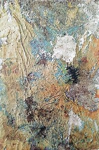 Livro Nenhuma Poesia Autor Pansani, Diego (2019) [seminovo]