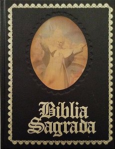 Livro Bíblia Sagrada Autor Vários [usado]