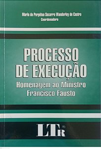 Livro o Processo de Execução - Homenagem ao Ministro Francisco Fausto Autor Castro (org), Maria do Perpétuo Socorro Wanderley de (2002) [usado]
