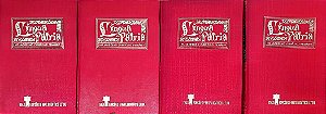 Livro Língua Pátria no Moderno Currículo Primário Autor Ferreira, Idalina Ladeira [usado]