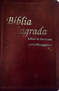 Livro Bíblia Sagrada - Edição de Promessas Autor Vários (2006) [usado]