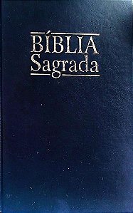 Livro Bíblia Sagrada Autor Vários (1999) [seminovo]