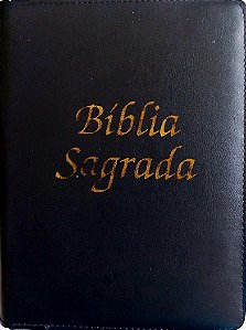 Livro Bíbilia Sagrada Autor Vários (2012) [seminovo]