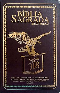 Livro Bíblia Sagrada - Edição Especial Autor Vários (2018) [seminovo]