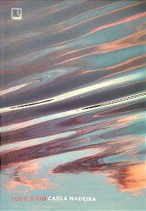 Livro Tudo é Rio Autor Madeira, Carla (2024) [seminovo]