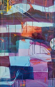 Livro Box o Sonho dos Heróis Autor Casares, Adolfo Bioy [seminovo]