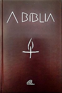 Livro a Bíblia Autor Vários (2023) [seminovo]