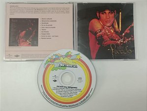 Cd Pecado - Ney Matogrosso Interprete Ney Matogrosso [usado]