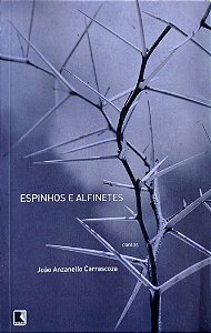 Livro Espinhos e Alfinetes Autor Carrascoza, João Anzanello (2010) [usado]