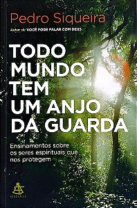 Livro Todo Mundo Tem um Anjo da Guarda Autor Siqueira, Pedro (2016) [seminovo]