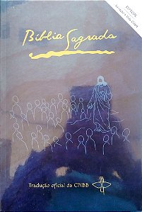 Livro Bíblia Sagrada Autor Vários (2019) [seminovo]