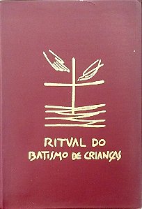 Livro Ritual do Batismo de Crianças Autor Vários [seminovo]