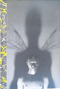 Livro Fábrica de Vespas Autor Banks, Iain (2016) [seminovo]