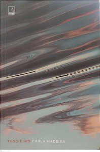 Livro Tudo é Rio Autor Madeira, Carla (2023) [usado]