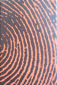Livro a Seca Autor Harper, Jane (2019) [seminovo]