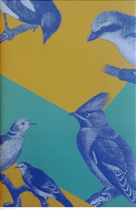 Livro Uma Nova Chance para o Sr. Doubler Autor Glaister, Seni (2019) [seminovo]