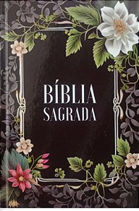 Livro Bíblia Sagrada - Nvi Autor Vários (2024) [usado]