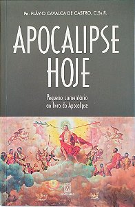 Livro Apocalipse Hoje Autor Castro C.ss.r., Pe. Flávio de (2018) [seminovo]