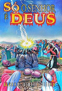 Livro Só o Senhor é Deus Autor Vieira, Álvaro Viotti (2001) [usado]