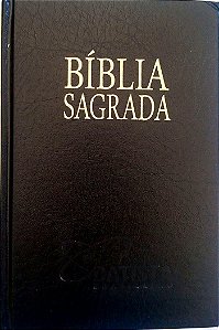 Livro Bíblia Sagrada Autor Vários (2013) [usado]