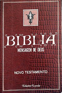 Livro Bíblia: Mensagem de Deus - Novo Testamento Autor Vários (1980) [usado]
