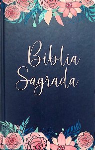 Livro Bíblia Sagrada Autor Vários (2023) [seminovo]