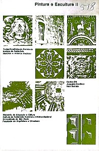 Livro Pintura e Escultura 2 Autor Ott, Carlos (1978) [usado]