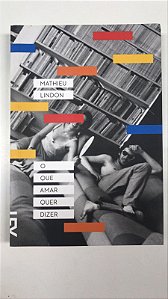 Livro o que Amar Quer Dizer Autor Lindon, Mathieu (2014) [seminovo]