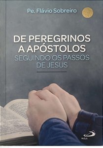 Livro de Peregrinos a Apóstolos Autor Sobreiro, Pe. Flávio (2019) [seminovo]