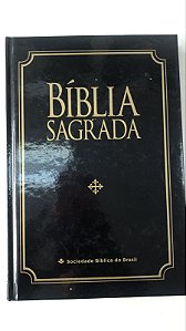 Livro Bíblia Sagrada Autor Almeida, João Ferreira de (2013) [usado]