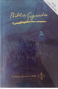 Livro Bíblia Sagrada - Cnbb Iniciação À Vida Cristã Autor Vários Autores (2019) [seminovo]
