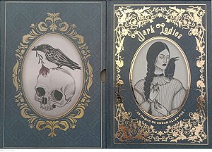 Livro Darkladies: as Damas de Edgar Allan Poe Autor Poe, Edgar Allan (2022) [seminovo]