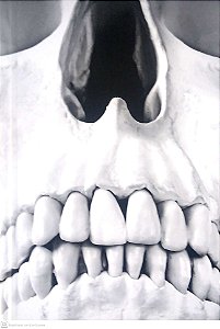 Livro Arquivos Serial Killers; Louco ou Cruel? Autor Casoy, Ilana (2017) [seminovo]