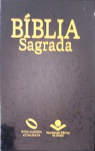 Livro Bíblia Sagrada Almeida Século 21 Autor Diversos Autores (2013) [usado]