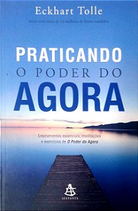 Livro Praticando o Poder do Agora Autor Tolle, Eckhart (2016) [usado]