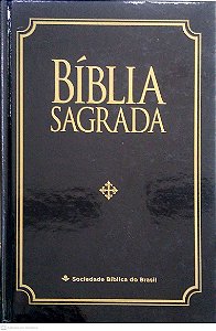 Livro Bíblia Sagrada Autor Diversos (2013) [usado]