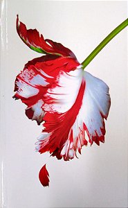 Livro Lua Nova (crepúsculo; 2) Autor Meyer, Stephenie (2009) [usado]