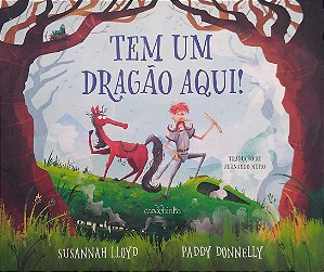 Livro Tem um Dragão Aqui! Autor Lloyd, Susannah (2023) [usado]