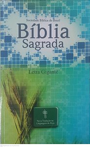 Livro Biblia Sagrada - Ntlh Nova Traducao na Linguagem de Hoje - Letra Grande (capa Trigo) Autor Desconhecido (2012) [usado]