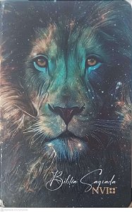 Livro Biblia Sagrada Nvi Autor Desconhecido (2017) [usado]
