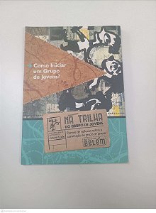 Livro Como Iniciar um Grupo de Jovens? Autor Varios Autores (2010) [usado]
