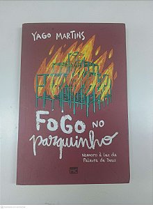 Livro Fogo no Parquinho Autor Martins, Yago (2022) [usado]