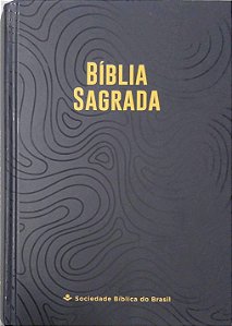 Livro Bíblia Sagrada Autor Diversos (2013) [seminovo]