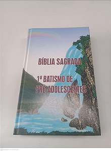 Livro Biblia Sagrada - 1º Batismo de Pré-adolescentes Autor Desconhecido (2009) [usado]