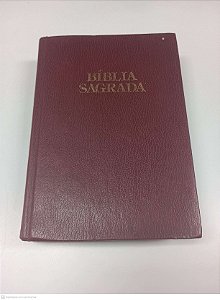 Livro Biblia Sagrada Autor Desconhecido [usado]